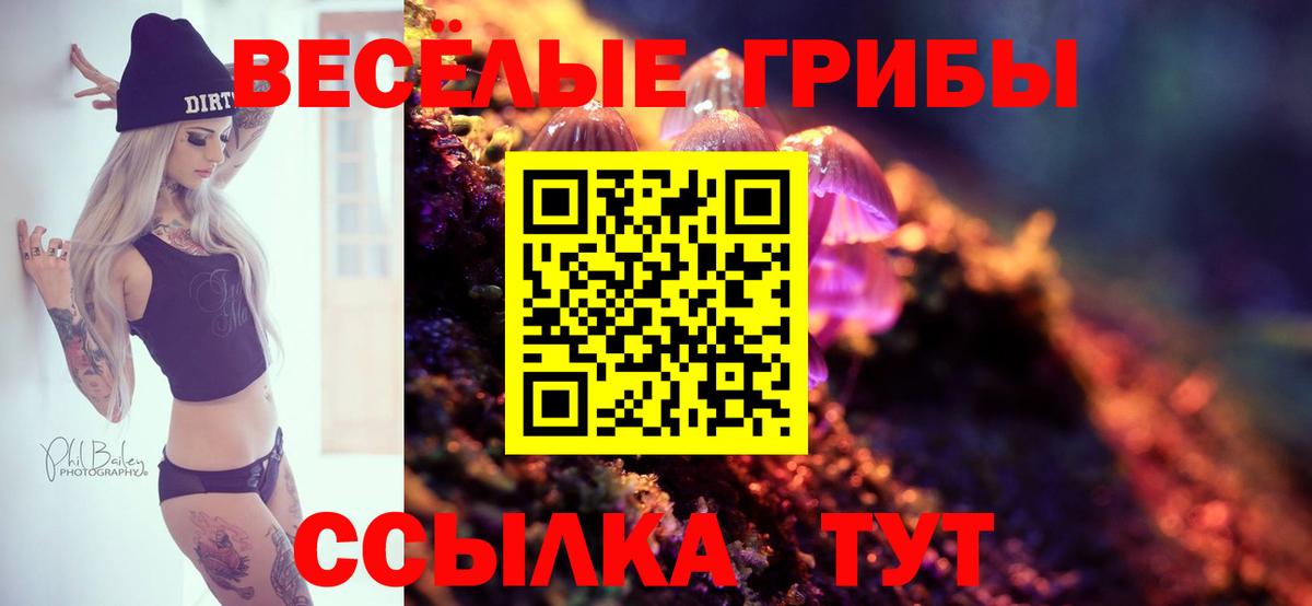 Псилоцибиновые грибы MAGIC MUSHROOMS  Псилоцибиновые грибы Psilocybe  Вход с VPN  Сальск 