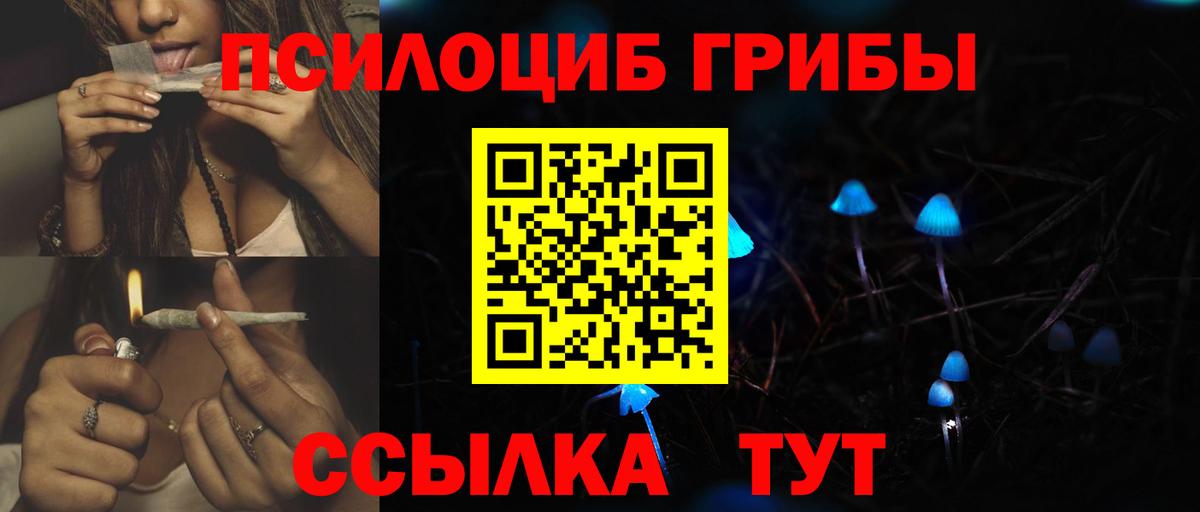 Псилоцибиновые грибы Cubensis Сальск